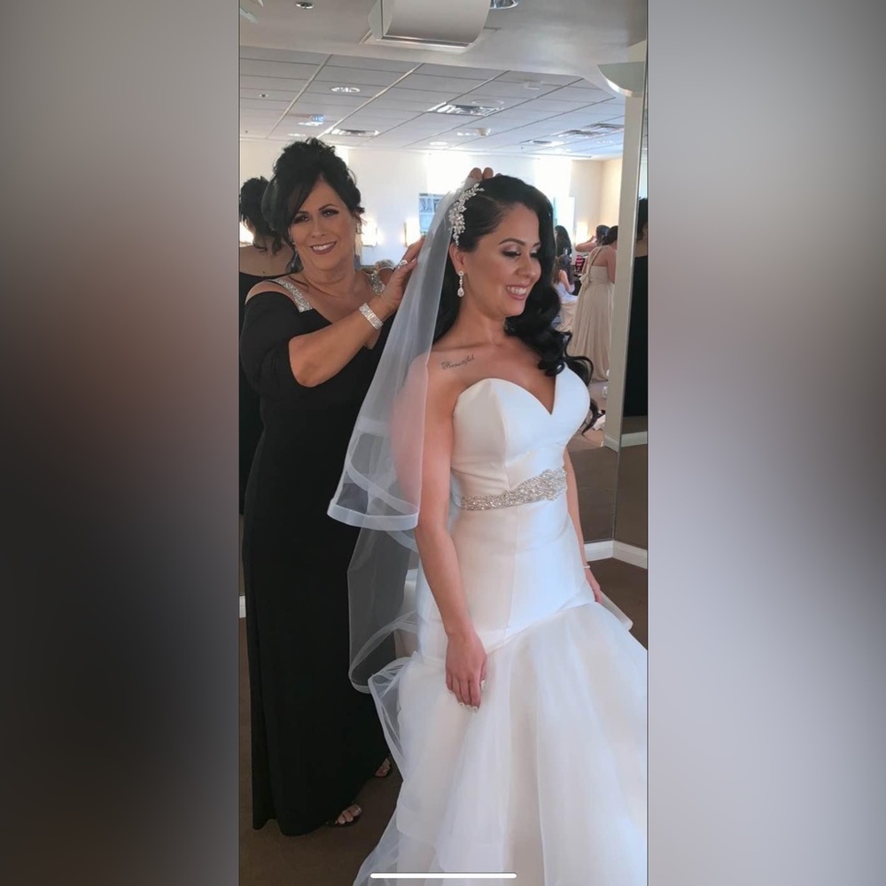 White sheer vail- matches wedding dress in my closet